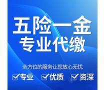個(gè)人社保代繳補(bǔ)繳優(yōu)選商家及代理服務(wù)推薦