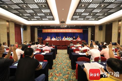 信息技術(shù)賦能，質(zhì)量安全護(hù)航——記海南省建設(shè)工程質(zhì)量安全檢測協(xié)會(huì)商品混凝土分會(huì)成立